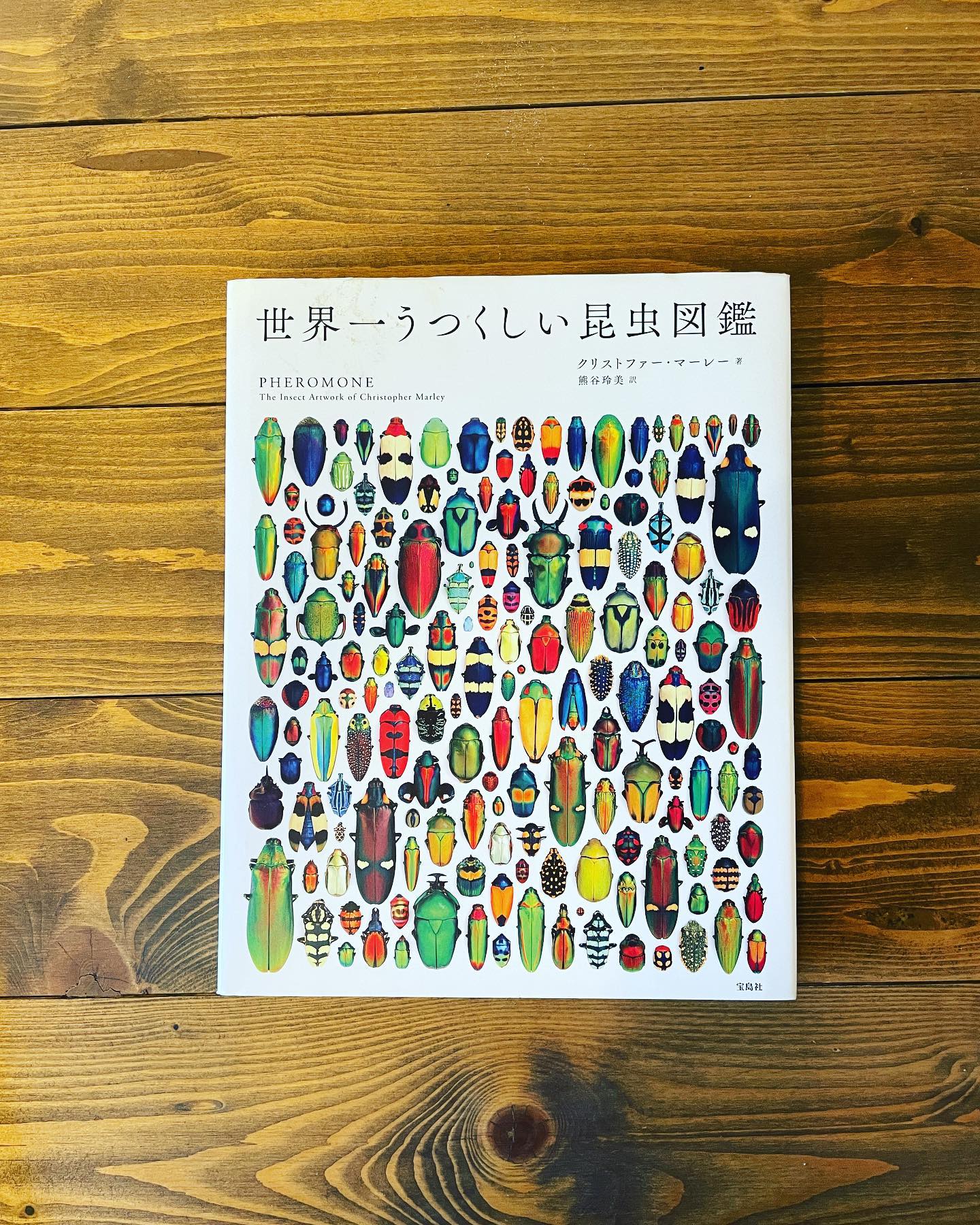 世界一うつくしい昆虫図鑑の表紙