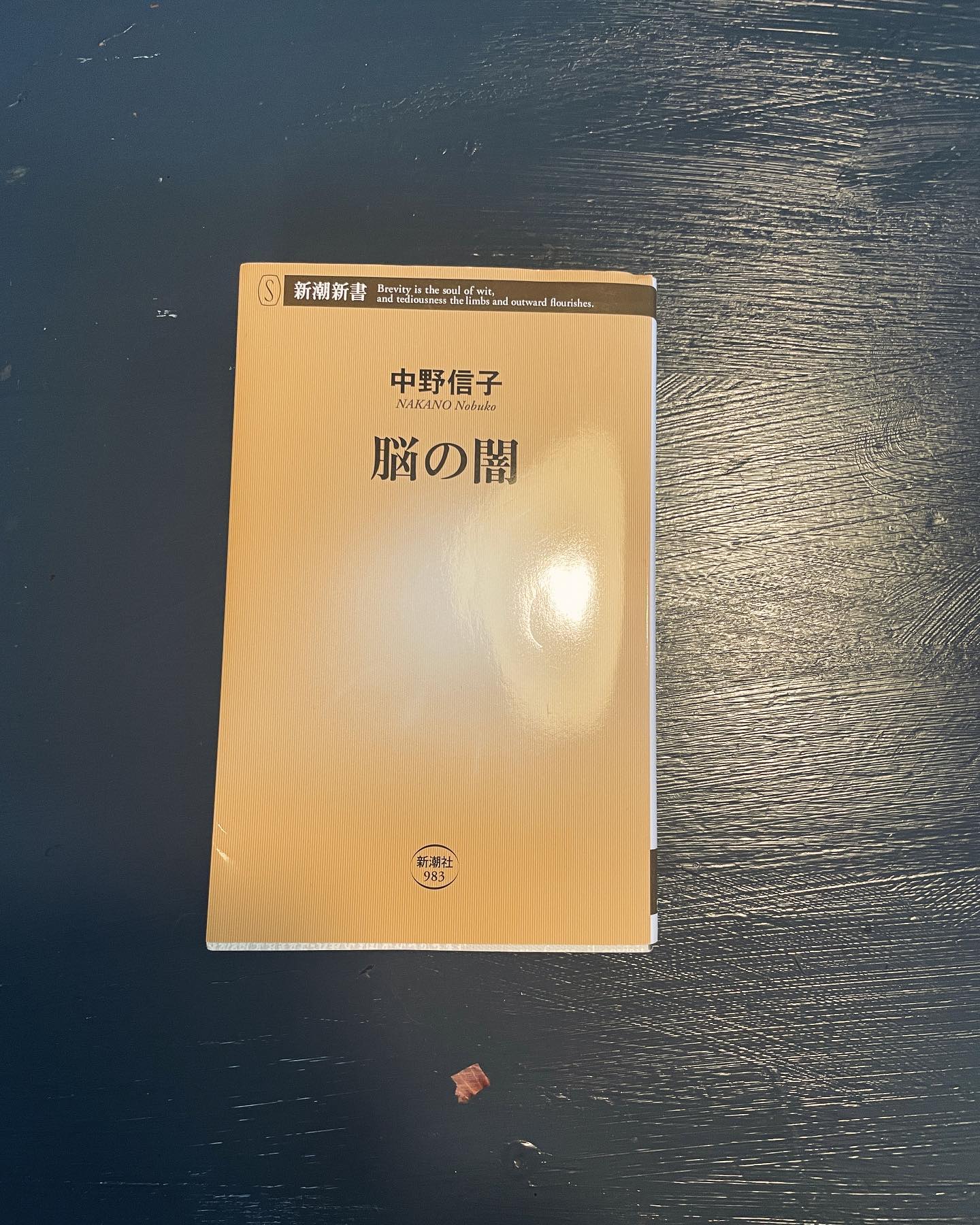脳の闇の表紙