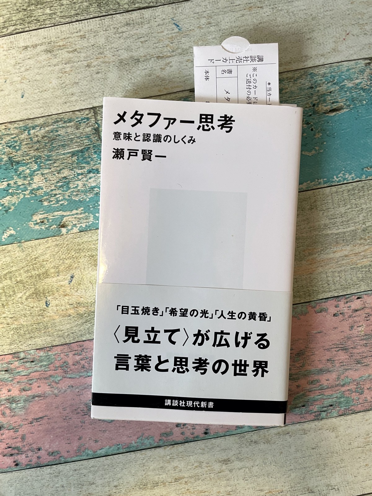 メタファー思考―意味と認識のしくみ／瀬戸賢一（著）の表紙写真