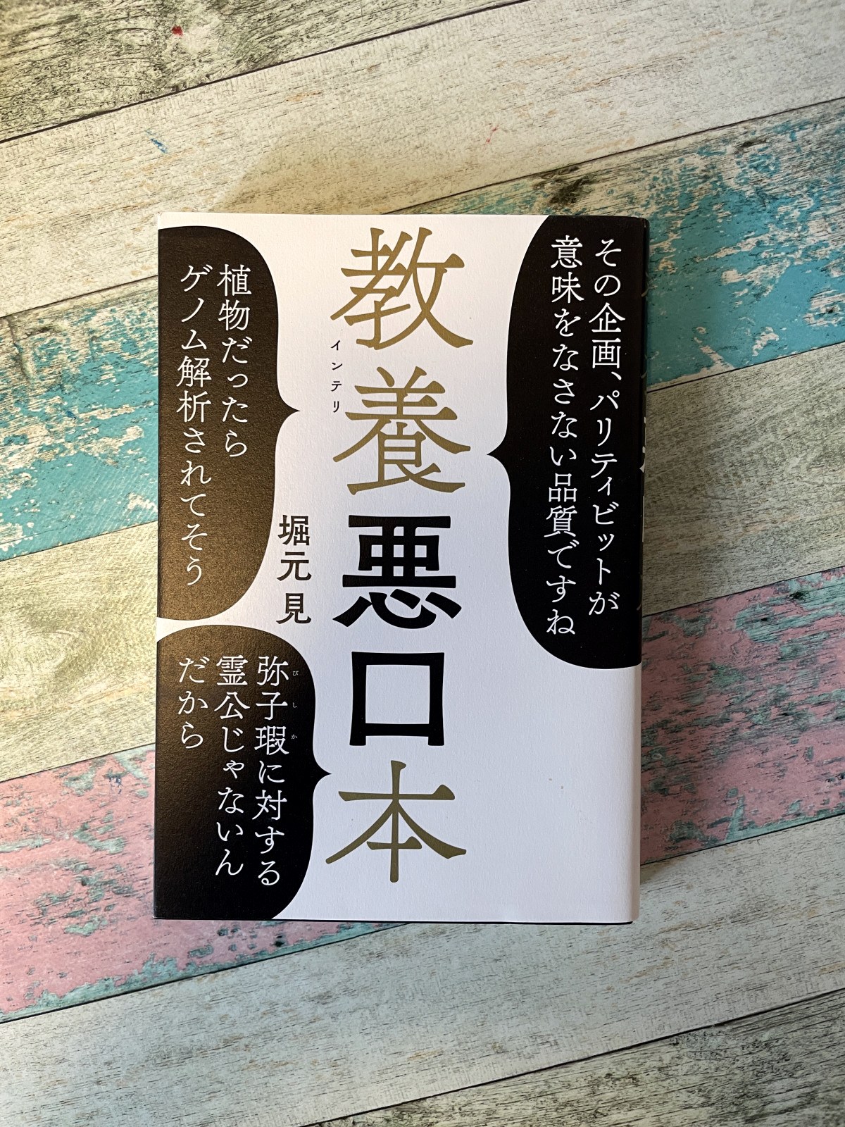 教養(インテリ)悪口本／堀元見（著）の表紙写真